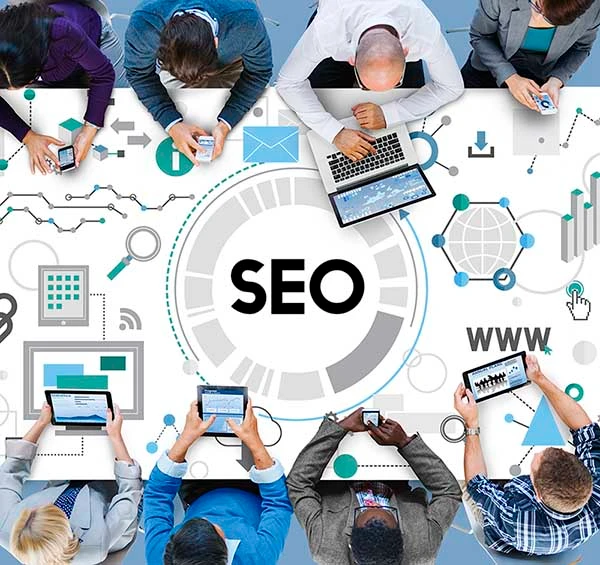 SEO Service Provider